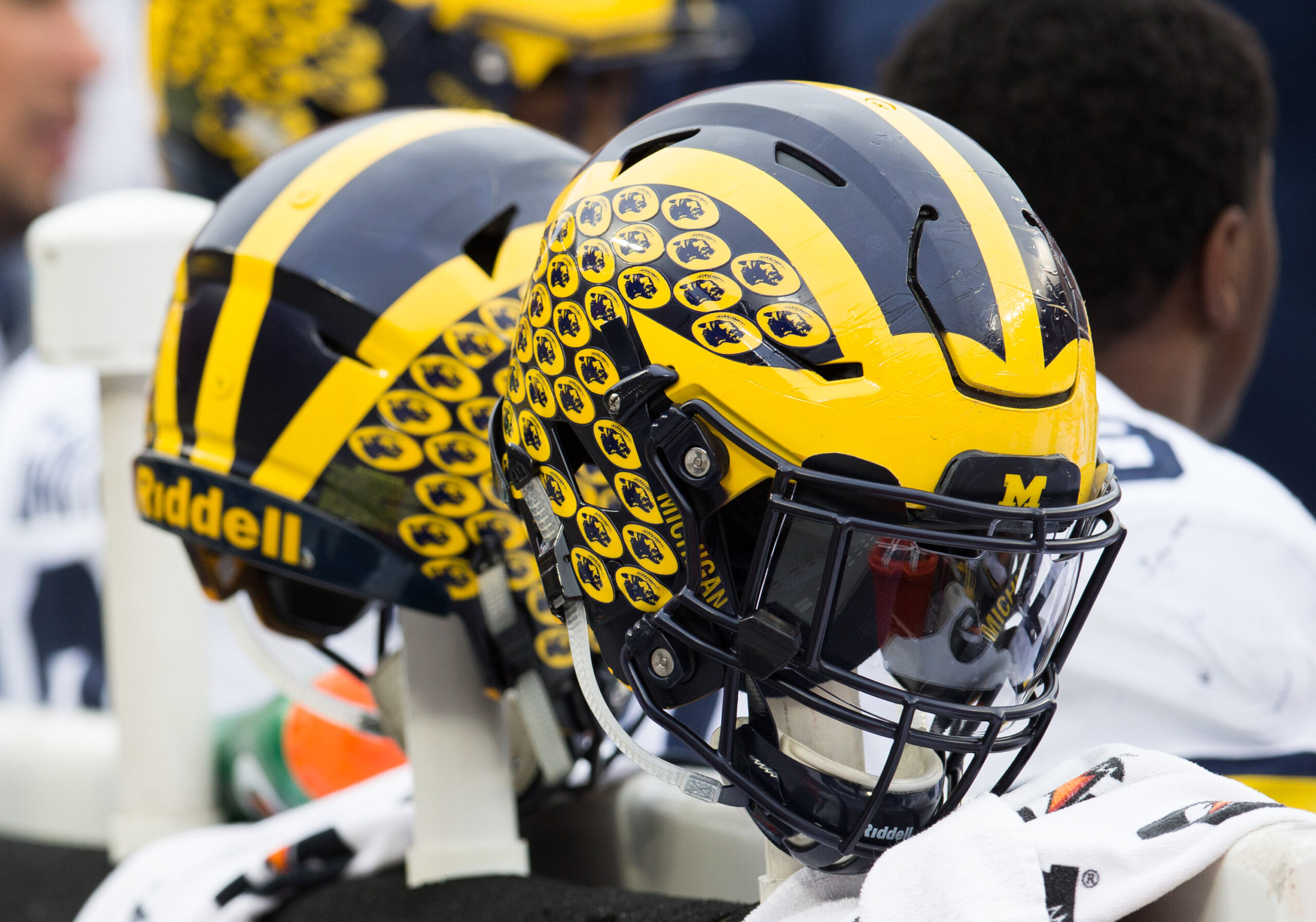 Michigan football, Stone Saunders